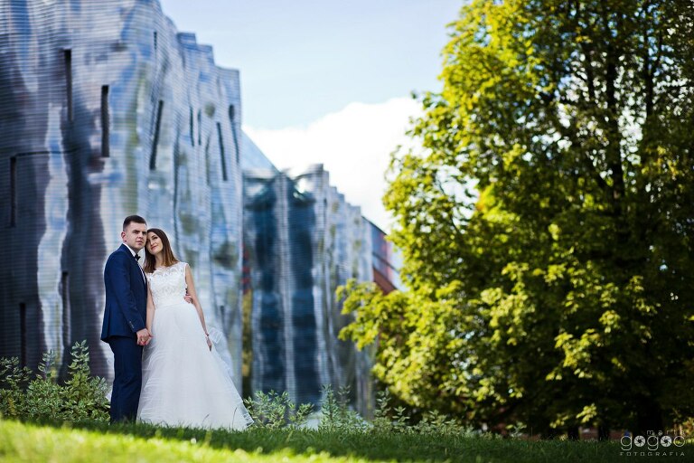 WAAACH5BAEAAAAALAAAAAABAAEAAAICRAEAOw==