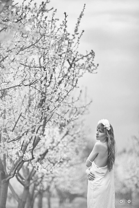 WAAACH5BAEAAAAALAAAAAABAAEAAAICRAEAOw==