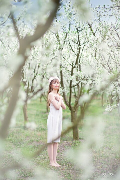 WAAACH5BAEAAAAALAAAAAABAAEAAAICRAEAOw==