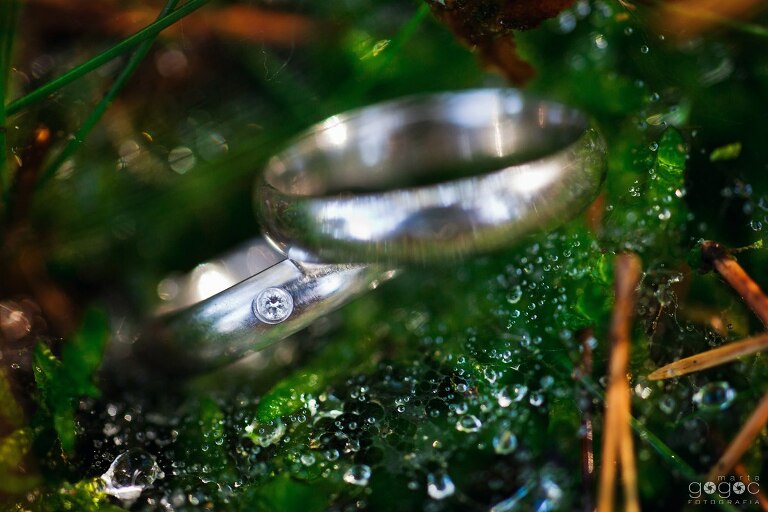 WAAACH5BAEAAAAALAAAAAABAAEAAAICRAEAOw==