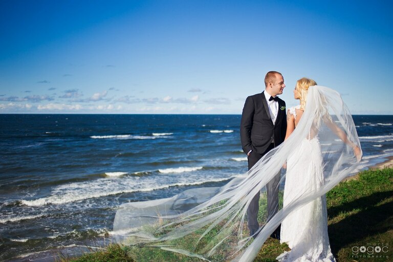 WAAACH5BAEAAAAALAAAAAABAAEAAAICRAEAOw==