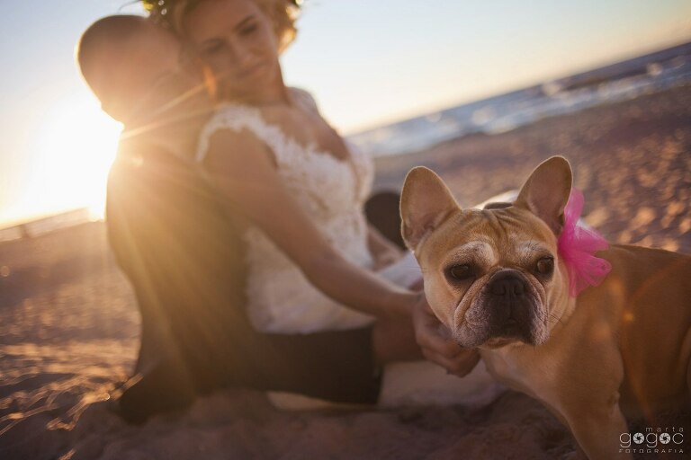 WAAACH5BAEAAAAALAAAAAABAAEAAAICRAEAOw==