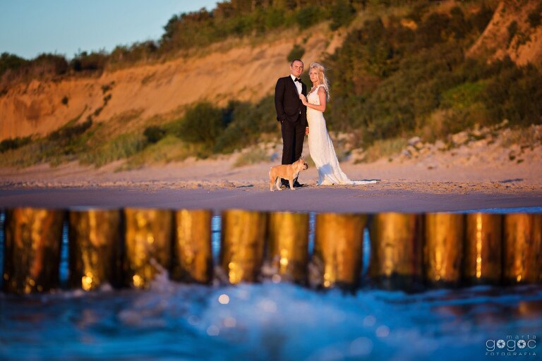 WAAACH5BAEAAAAALAAAAAABAAEAAAICRAEAOw==