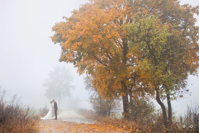 WAAACH5BAEAAAAALAAAAAABAAEAAAICRAEAOw==