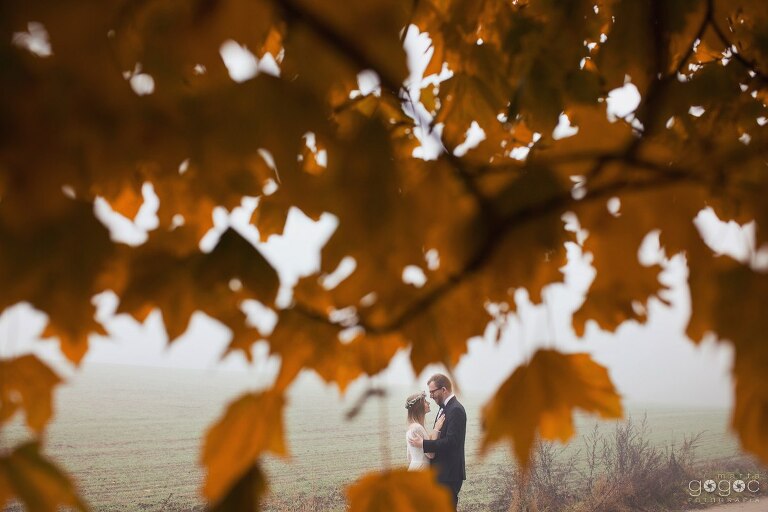 WAAACH5BAEAAAAALAAAAAABAAEAAAICRAEAOw==