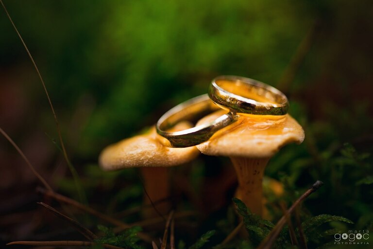 WAAACH5BAEAAAAALAAAAAABAAEAAAICRAEAOw==