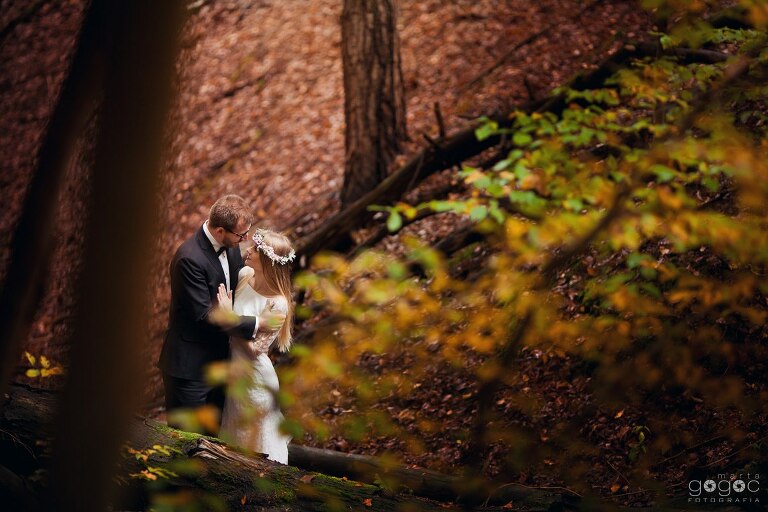 WAAACH5BAEAAAAALAAAAAABAAEAAAICRAEAOw==