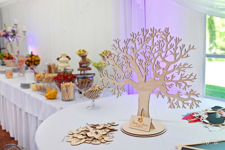 WAAACH5BAEAAAAALAAAAAABAAEAAAICRAEAOw==