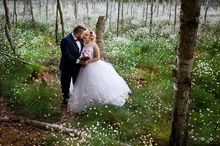 WAAACH5BAEAAAAALAAAAAABAAEAAAICRAEAOw==