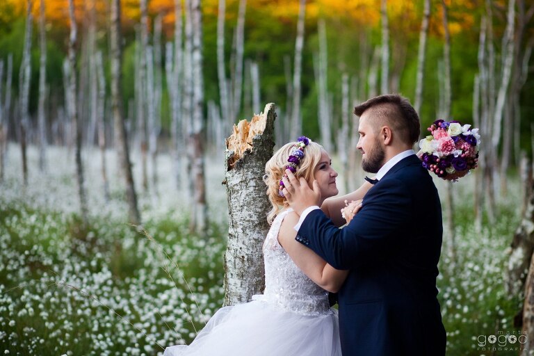 WAAACH5BAEAAAAALAAAAAABAAEAAAICRAEAOw==