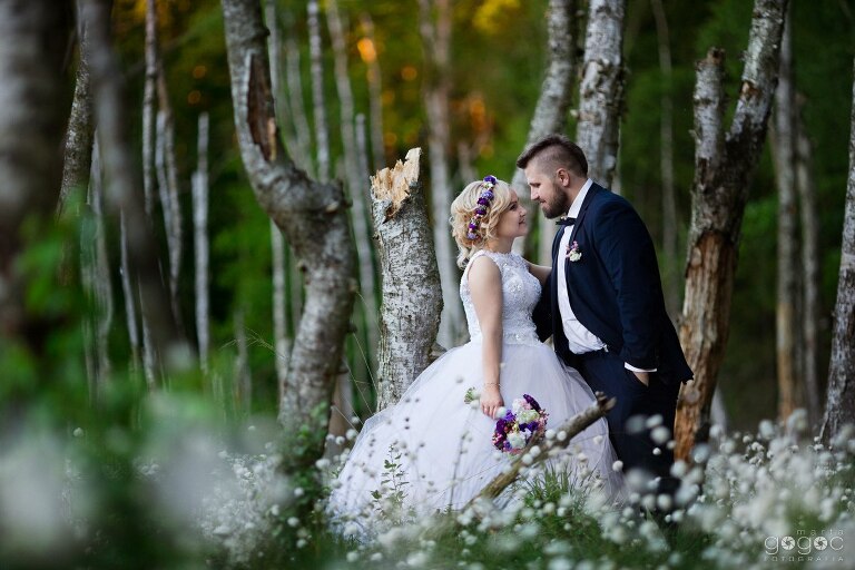 WAAACH5BAEAAAAALAAAAAABAAEAAAICRAEAOw==