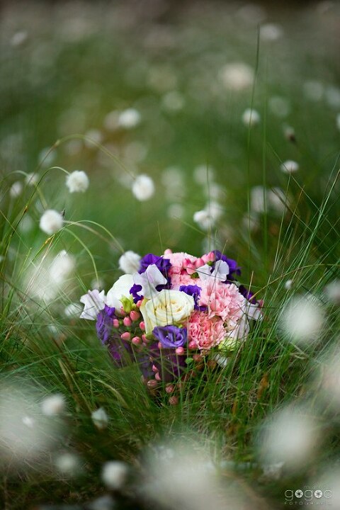 WAAACH5BAEAAAAALAAAAAABAAEAAAICRAEAOw==