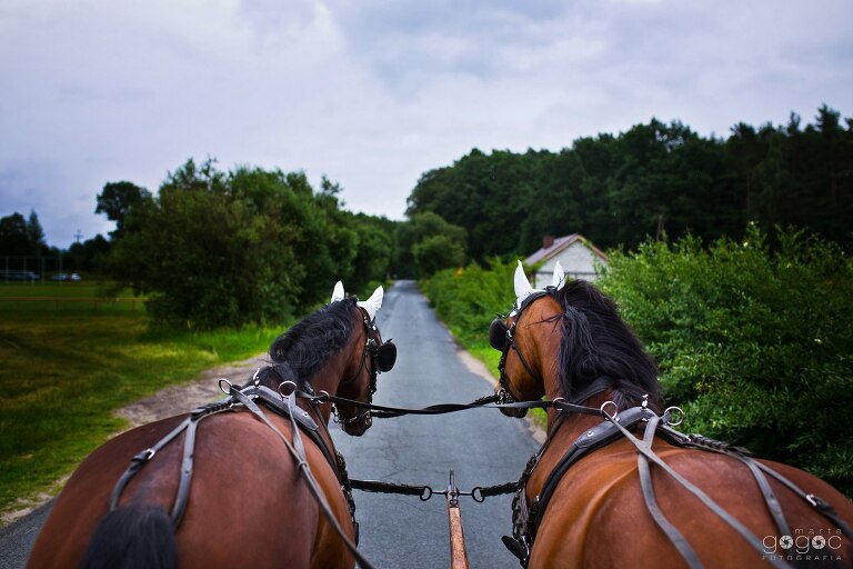 WAAACH5BAEAAAAALAAAAAABAAEAAAICRAEAOw==