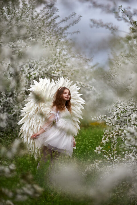 WAAACH5BAEAAAAALAAAAAABAAEAAAICRAEAOw==