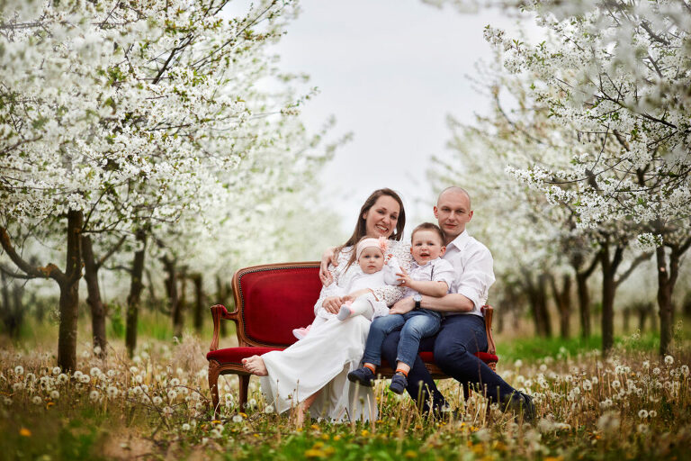 WAAACH5BAEAAAAALAAAAAABAAEAAAICRAEAOw==