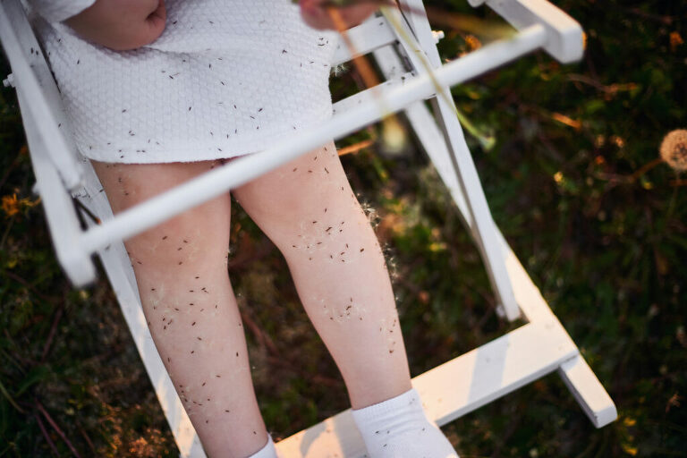 WAAACH5BAEAAAAALAAAAAABAAEAAAICRAEAOw==