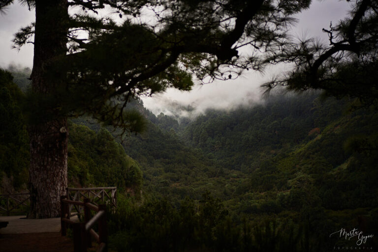 WAAACH5BAEAAAAALAAAAAABAAEAAAICRAEAOw==