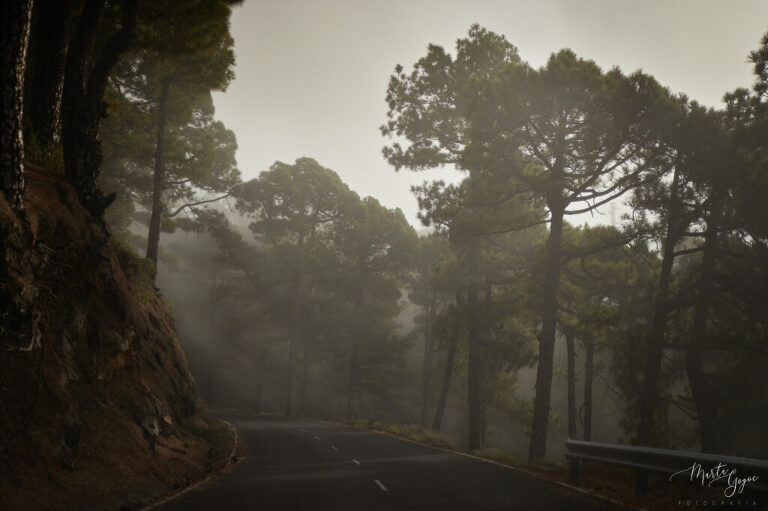 WAAACH5BAEAAAAALAAAAAABAAEAAAICRAEAOw==