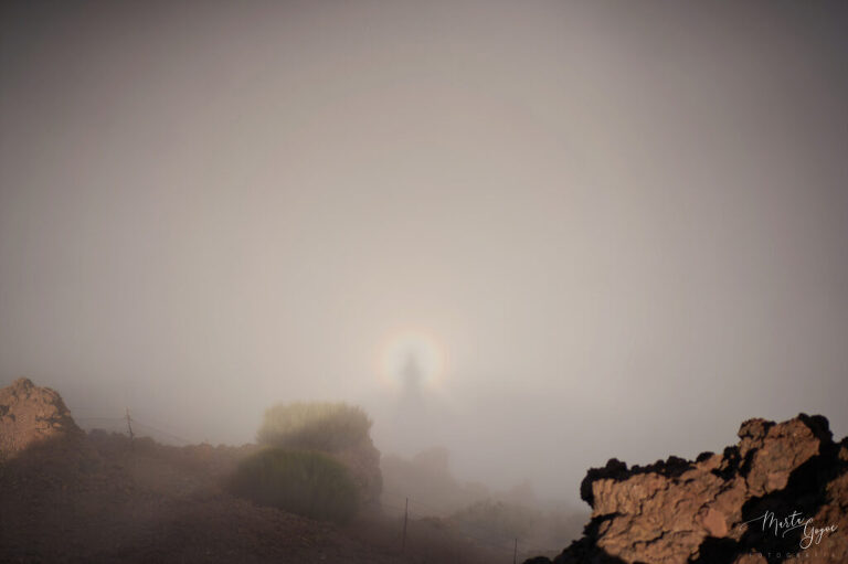 WAAACH5BAEAAAAALAAAAAABAAEAAAICRAEAOw==