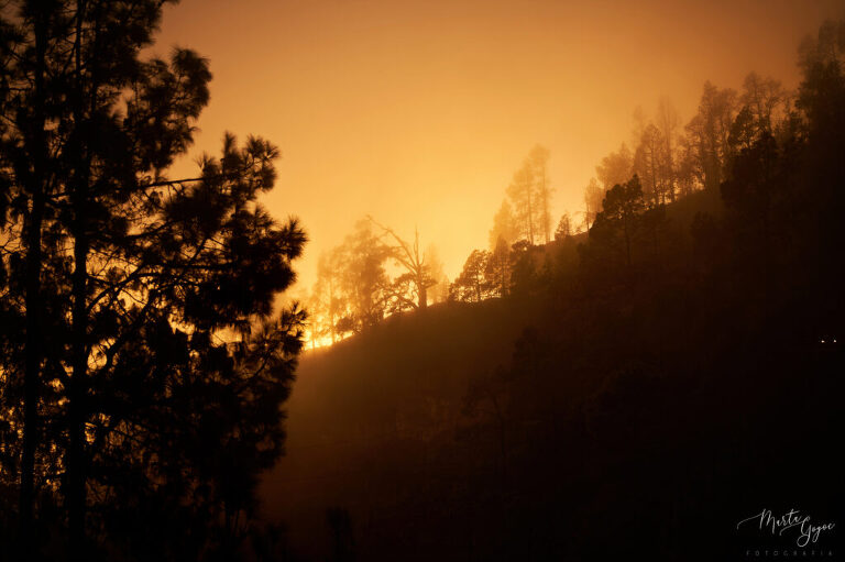 WAAACH5BAEAAAAALAAAAAABAAEAAAICRAEAOw==