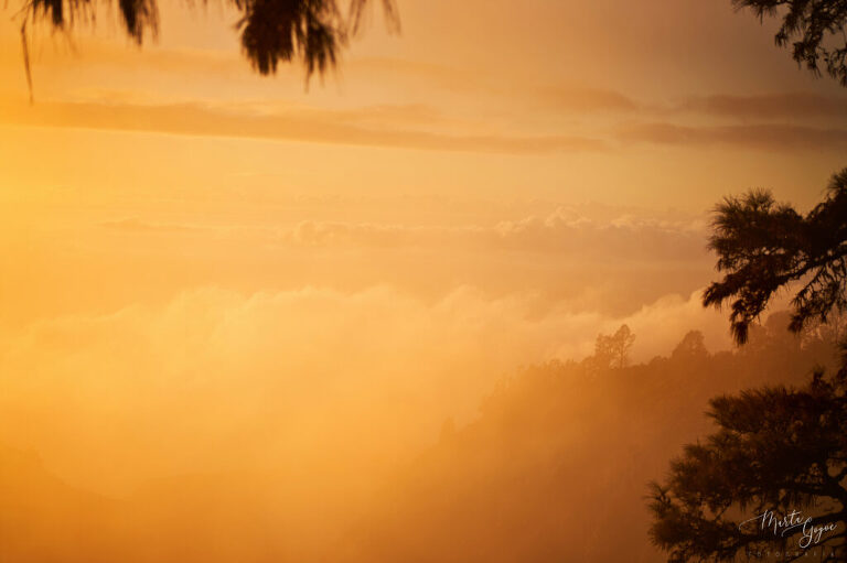 WAAACH5BAEAAAAALAAAAAABAAEAAAICRAEAOw==