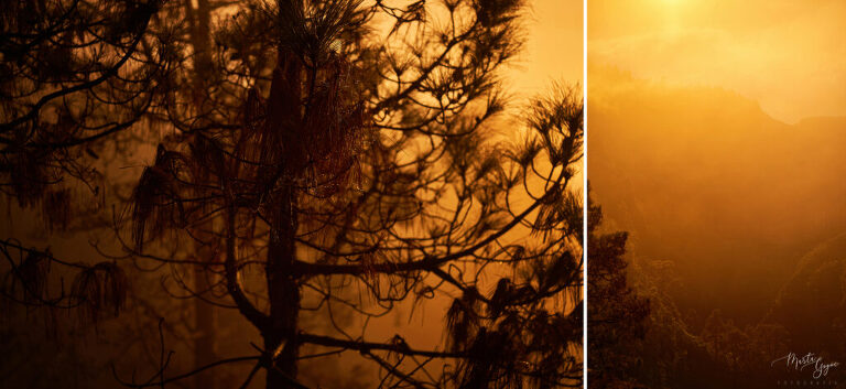 WAAACH5BAEAAAAALAAAAAABAAEAAAICRAEAOw==