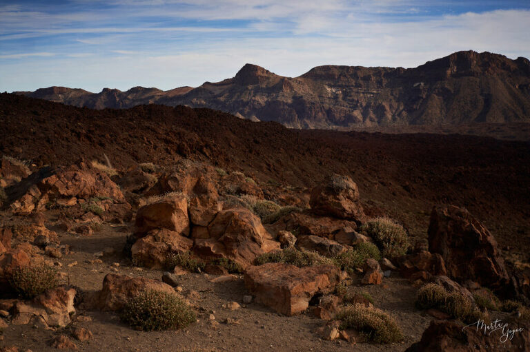 WAAACH5BAEAAAAALAAAAAABAAEAAAICRAEAOw==