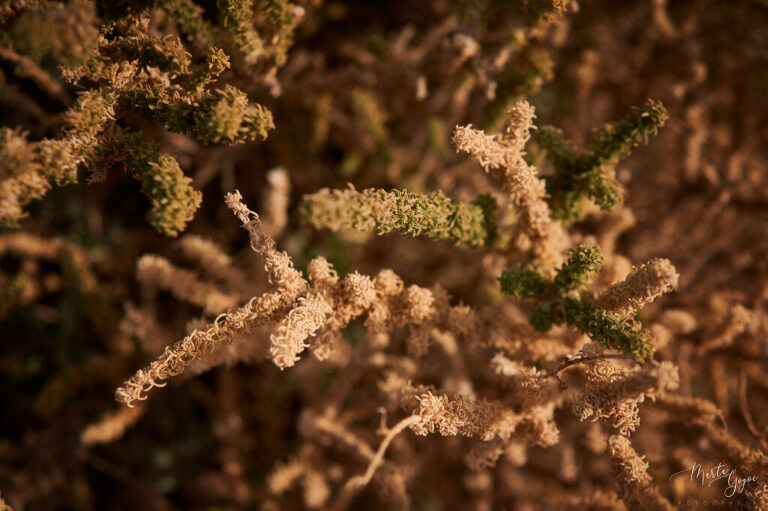 WAAACH5BAEAAAAALAAAAAABAAEAAAICRAEAOw==