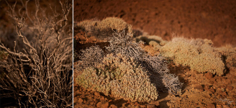 WAAACH5BAEAAAAALAAAAAABAAEAAAICRAEAOw==