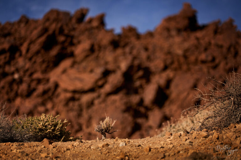 WAAACH5BAEAAAAALAAAAAABAAEAAAICRAEAOw==