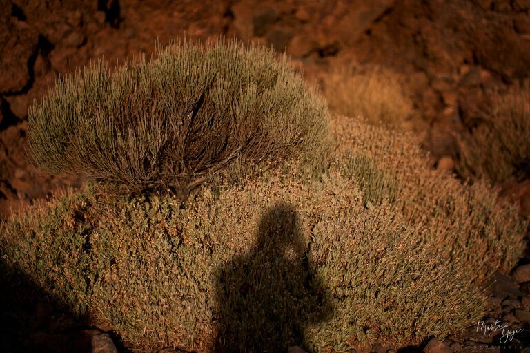 WAAACH5BAEAAAAALAAAAAABAAEAAAICRAEAOw==