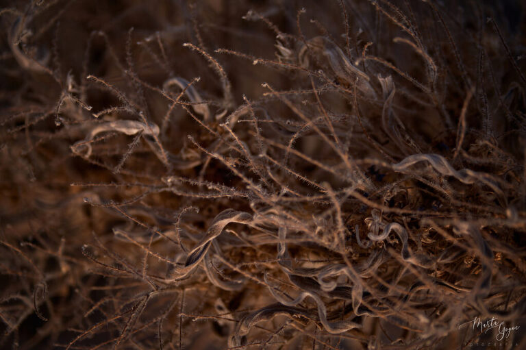 WAAACH5BAEAAAAALAAAAAABAAEAAAICRAEAOw==