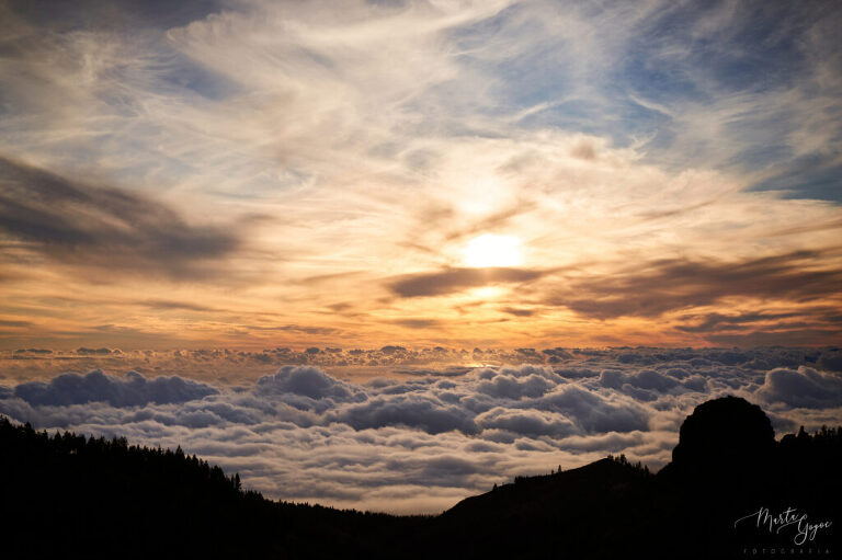 WAAACH5BAEAAAAALAAAAAABAAEAAAICRAEAOw==