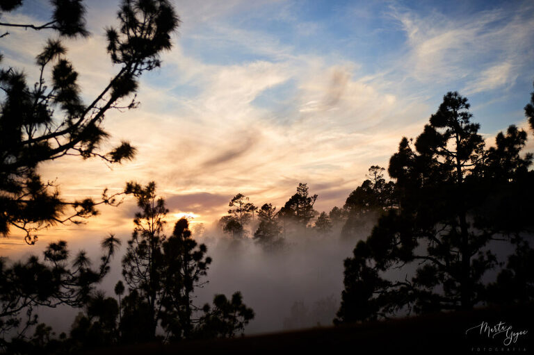 WAAACH5BAEAAAAALAAAAAABAAEAAAICRAEAOw==