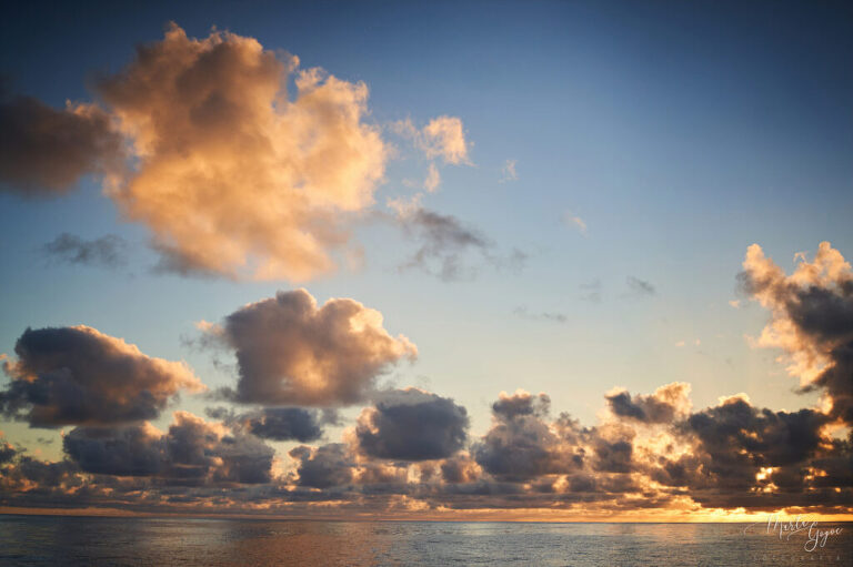 WAAACH5BAEAAAAALAAAAAABAAEAAAICRAEAOw==