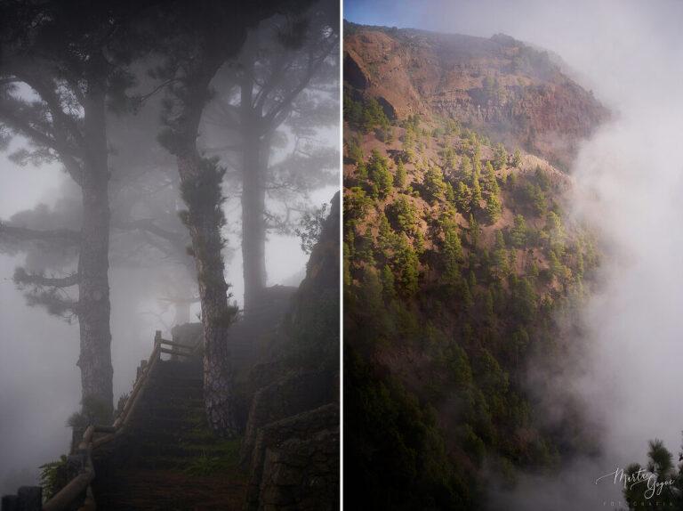 WAAACH5BAEAAAAALAAAAAABAAEAAAICRAEAOw==