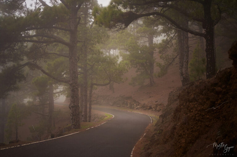 WAAACH5BAEAAAAALAAAAAABAAEAAAICRAEAOw==