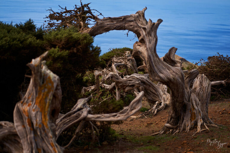 WAAACH5BAEAAAAALAAAAAABAAEAAAICRAEAOw==