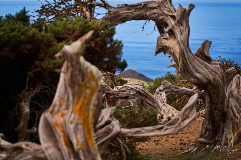 WAAACH5BAEAAAAALAAAAAABAAEAAAICRAEAOw==