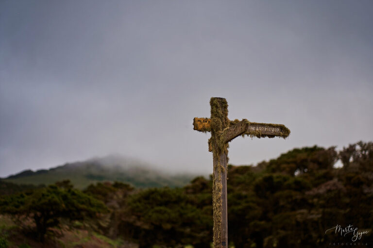 WAAACH5BAEAAAAALAAAAAABAAEAAAICRAEAOw==