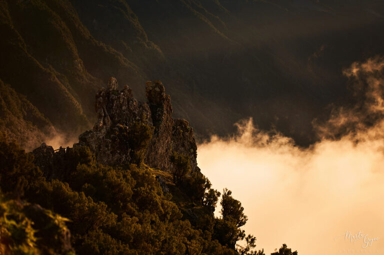 WAAACH5BAEAAAAALAAAAAABAAEAAAICRAEAOw==