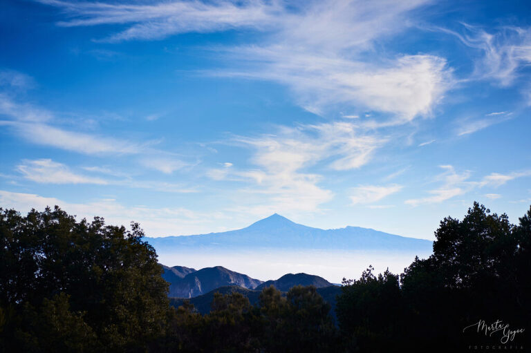 WAAACH5BAEAAAAALAAAAAABAAEAAAICRAEAOw==