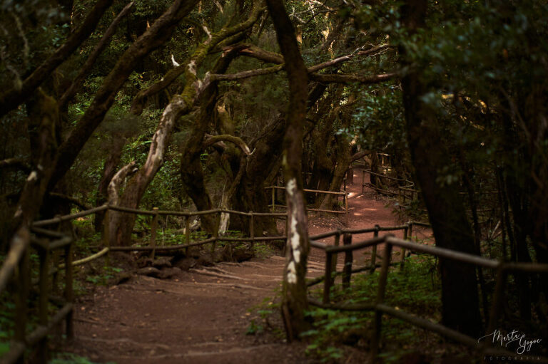 WAAACH5BAEAAAAALAAAAAABAAEAAAICRAEAOw==