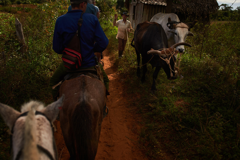 004 Kuba Wycieczka Vinales(pp W768 H511)