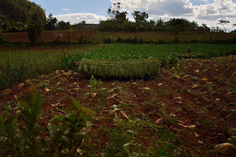 WAAACH5BAEAAAAALAAAAAABAAEAAAICRAEAOw==