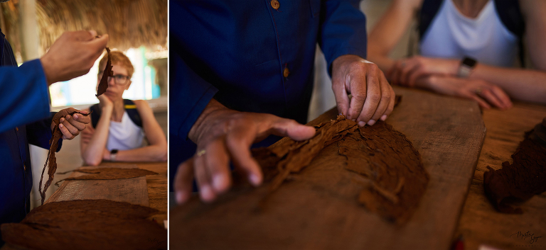 WAAACH5BAEAAAAALAAAAAABAAEAAAICRAEAOw==