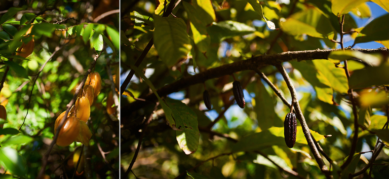 WAAACH5BAEAAAAALAAAAAABAAEAAAICRAEAOw==