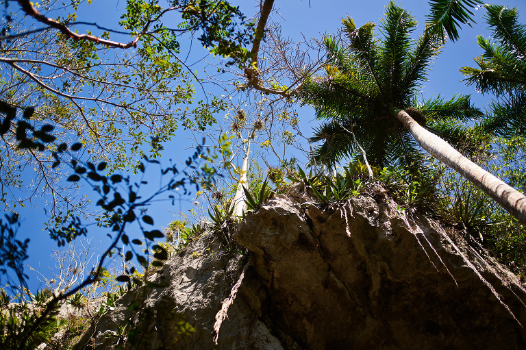 WAAACH5BAEAAAAALAAAAAABAAEAAAICRAEAOw==