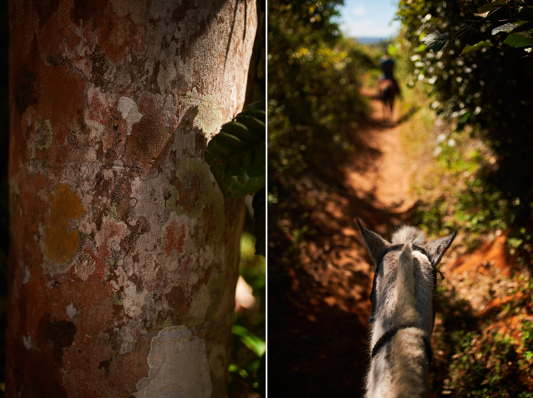 WAAACH5BAEAAAAALAAAAAABAAEAAAICRAEAOw==