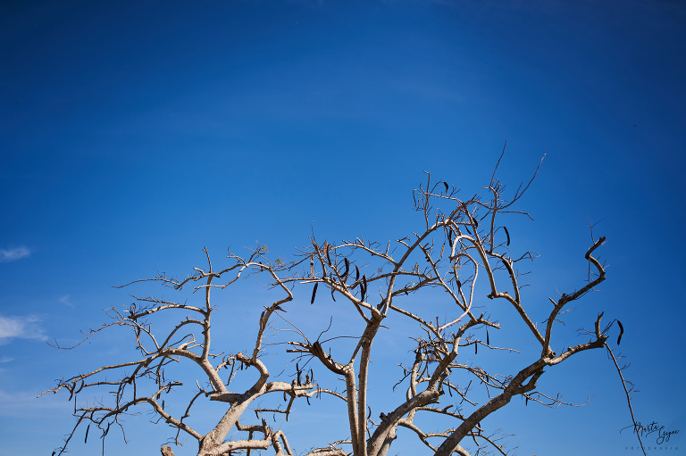 WAAACH5BAEAAAAALAAAAAABAAEAAAICRAEAOw==